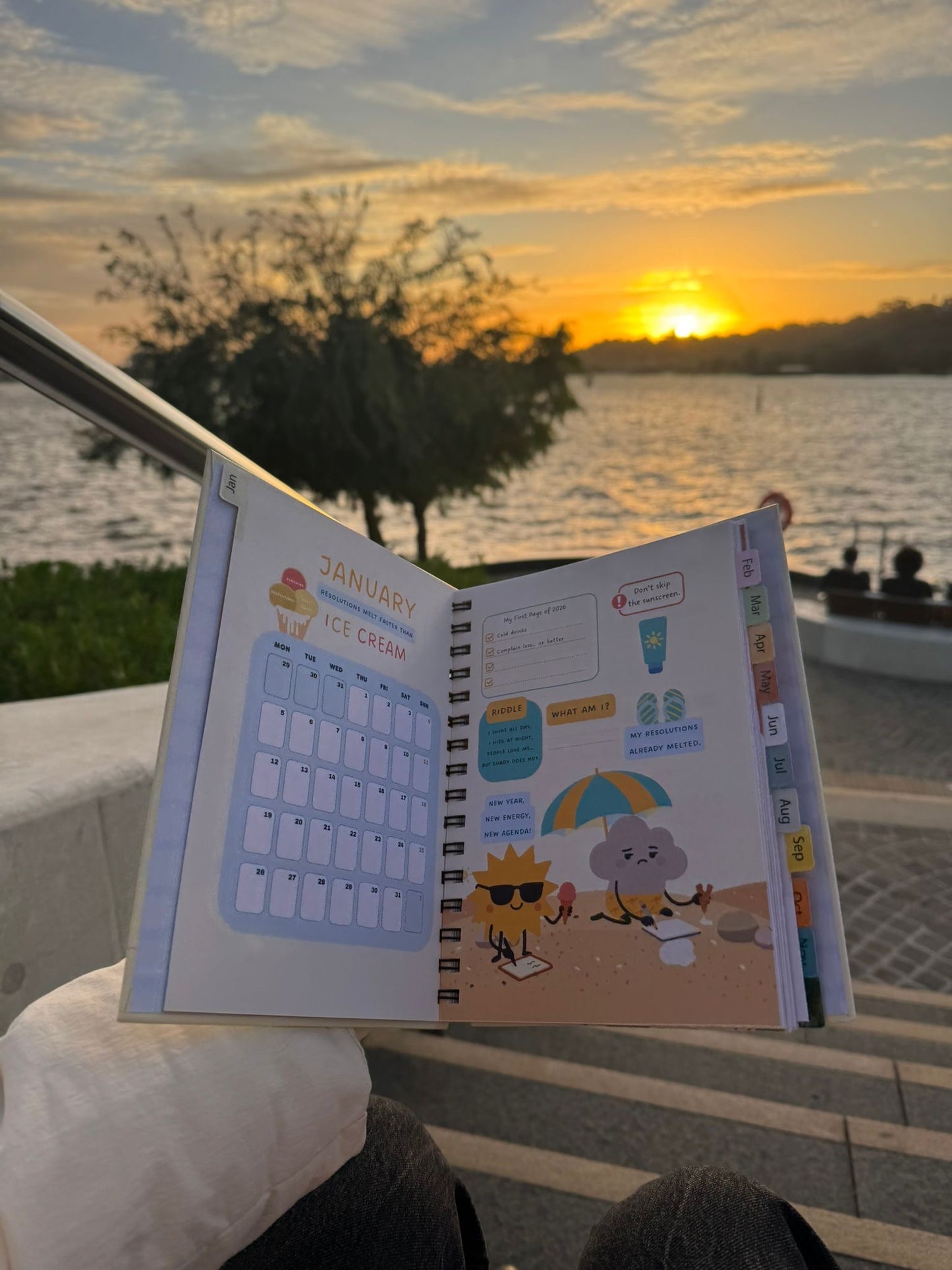 LIMITED EDITION PLANNER 2026